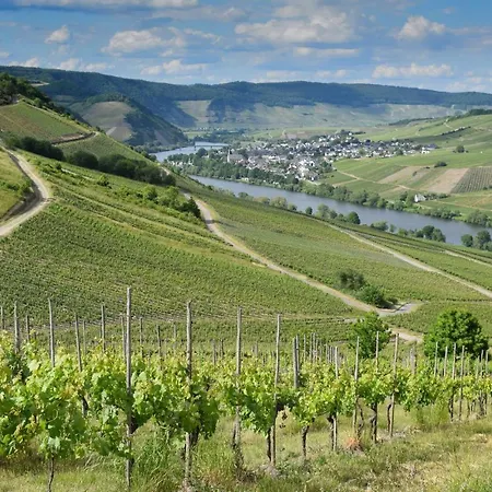 Appartement Evelyne Verbandsgemeinde Bernkastel-Kues