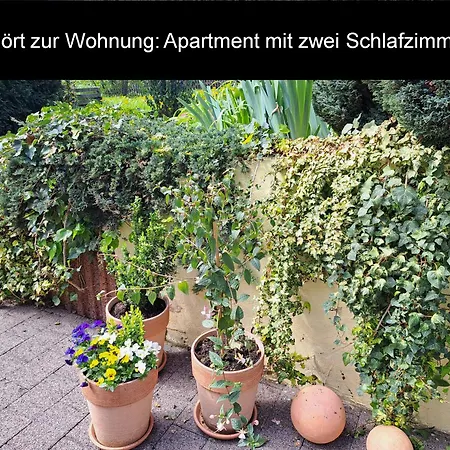 Evelyne Appartement