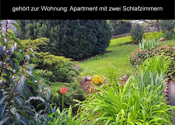 Evelyne Commune fusionnée de Bernkastel-Kues